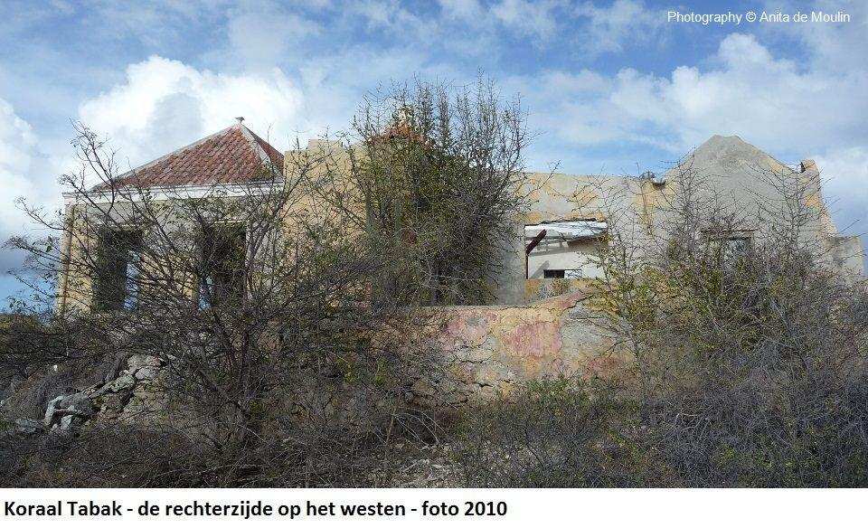 21. Koraal Tabak rechterzijde op het westen 2010